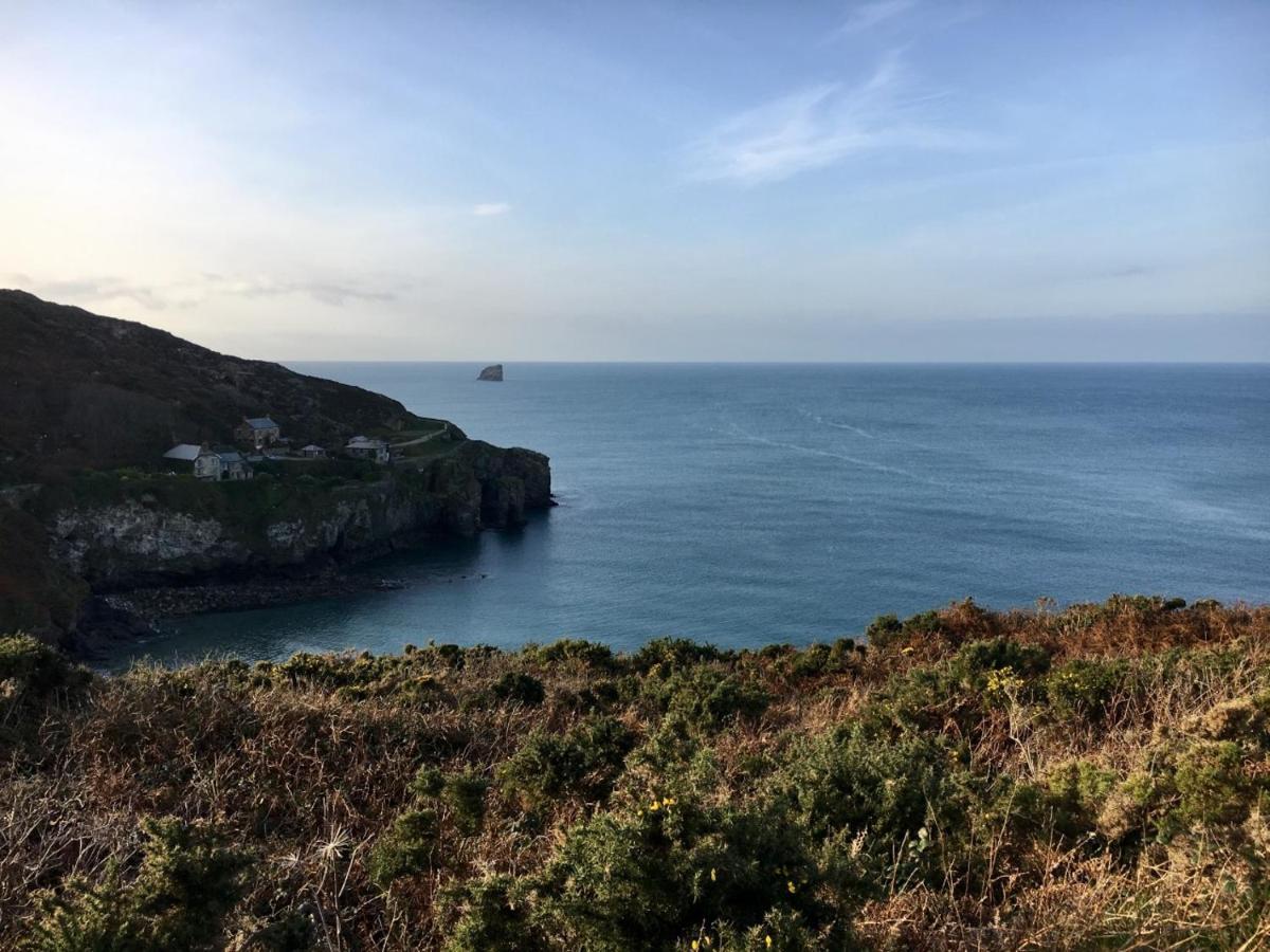 Idyllic Cottage - Near St Agnes And Porthtowan Mount Hawke Eksteriør bilde